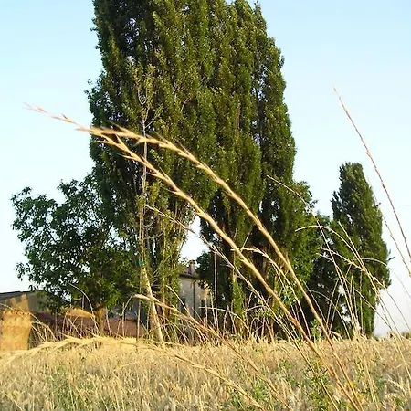 Feriegård Corte Motte