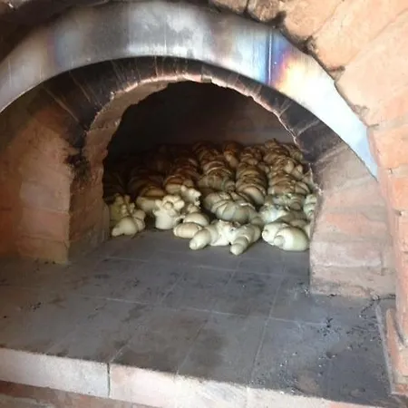 Corte Motte Pegognaga
