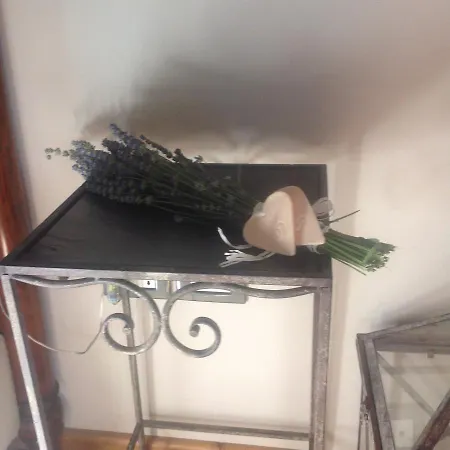 Corte Motte Farma Pegognaga
